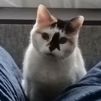 Моня