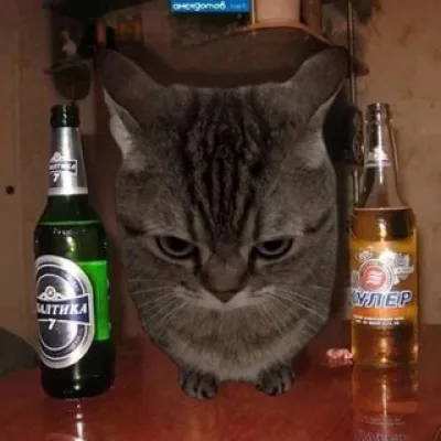 шизОп кооперация