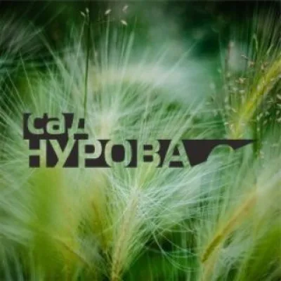 Сад Нурова