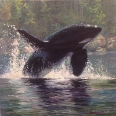 𝓜𝓪𝓰𝓰𝓮𝓴𝓸🦈🪐