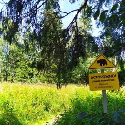 🐾 Поиск компании для походов с рюкзаком