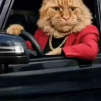 Vladimir S PhoenixPaw