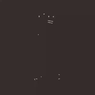 Тест BORK
