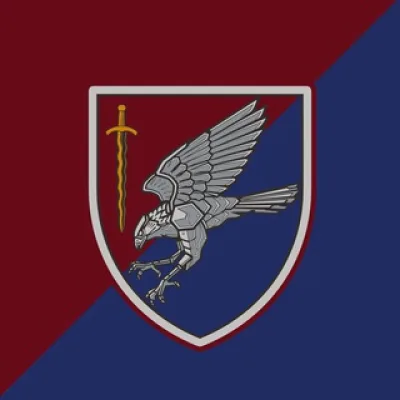 Combat hawks