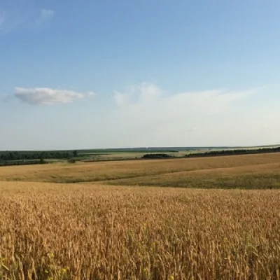Байки уездного сада