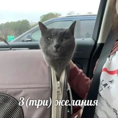 Левруша. Великий и ужасный автор.