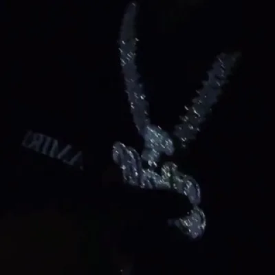 🥷🏼