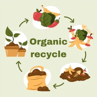 Organic recycle I ПЕРЕРАБОТКА ОРГАНИКИ ☘