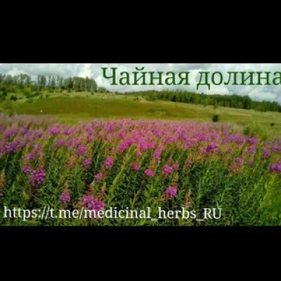 Настя Т