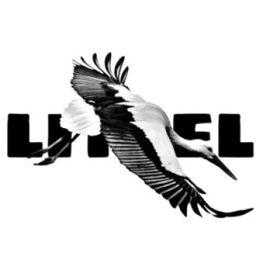 Literary Telegram