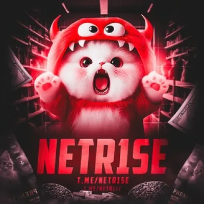 NETR1SE | DEV (Vanera)