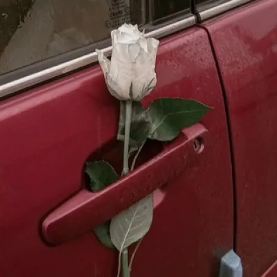 красные запчасти