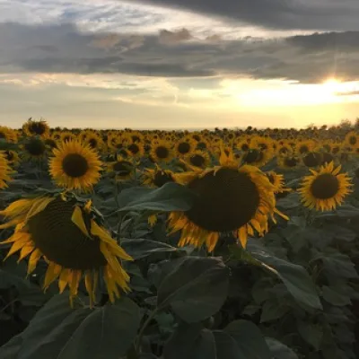 С понедельника начну…