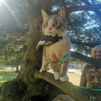АРТУР