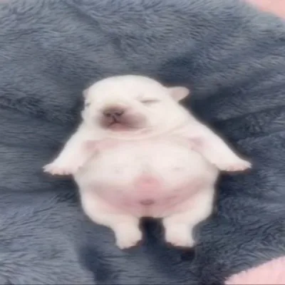 𝓡𝓸𝔁𝔁𝔂