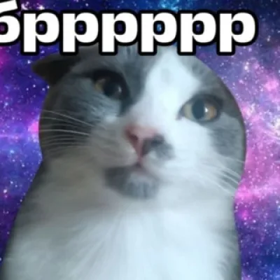 Кусь (ᵕ—ᴗ—)