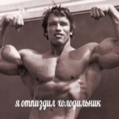 Дарья Егорова