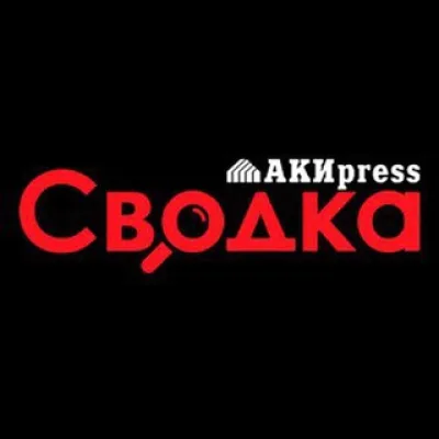 Сводка - чат
