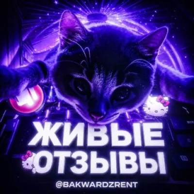 Живые отзывы 𝐁𝐚𝐤𝐰𝐚𝐫𝐝𝐳 𝐑𝐞𝐧𝐭