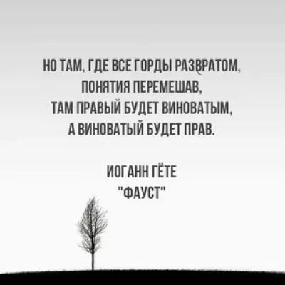 Файзулин. Правозащита.