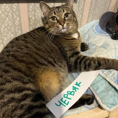 Червяк 🔮🦉🫘