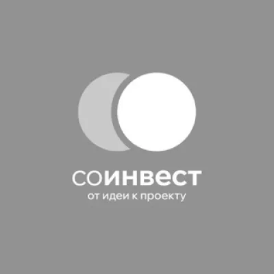 Соинвестник