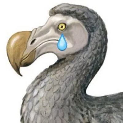 ЭкоЛеди