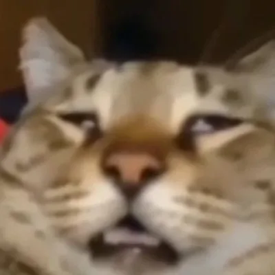 w/