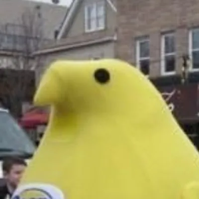Gustava ️