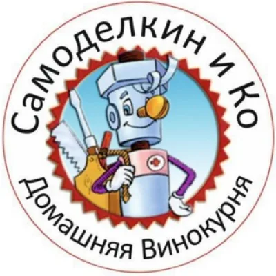 Самоделкин и Ко Chat