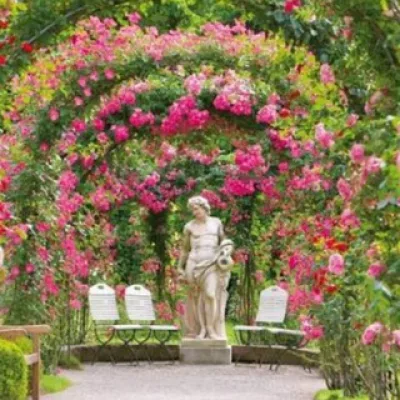 🌺 тгк инфо "Garden Of Eden"🌺