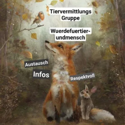 Tiervermittlungsgruppe Chat allgemein (Würde für Tier und Mensch) allgemeiner Austausch