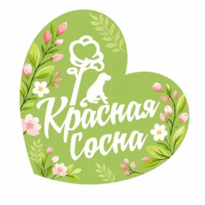 Приют для собак «Красная Сосна»