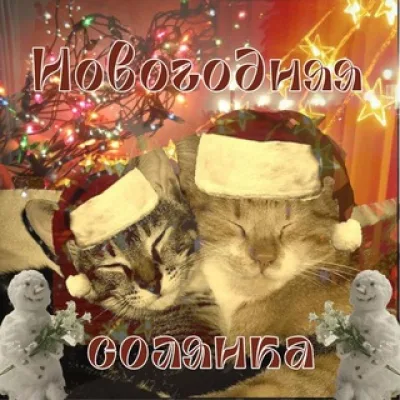 Новогодняя солянка