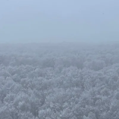 Раушенберг в слезах