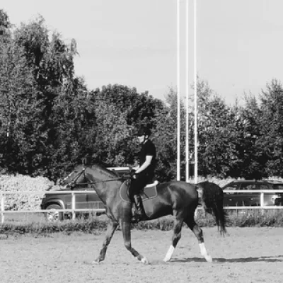 Sergio