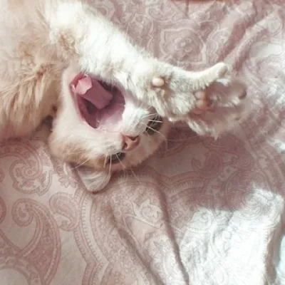 ʙᴀsᴇ fᴏr rᴇlᴀxᴀᴛiᴏn