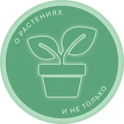 BogdaSHka 🍀о растениях и не только🍀