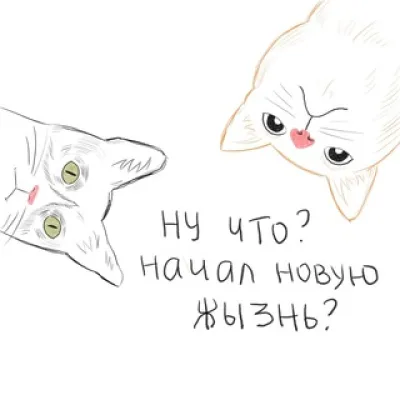 Психолог Анна Дюкова Chat