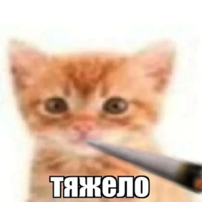 эмочки (секта🤫)