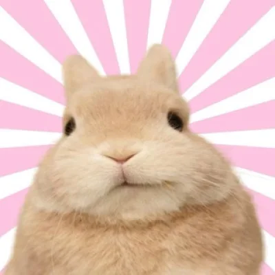 Moon Rabbit