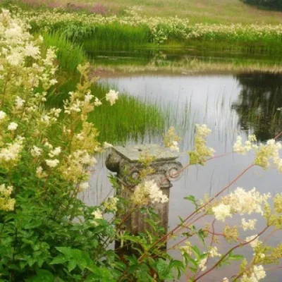 🌾 𝐒ꫀ𝗆ꫀαꪀ𝖽ꪮ 𝐂ꪮꪀꫝꫀᥴ𝗂𝗆ꫀꪀ𝗍ꪮ◞♡