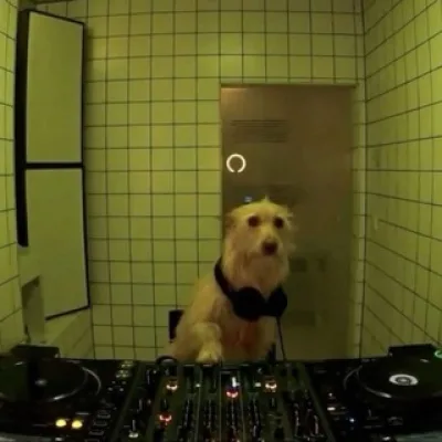 География Шума