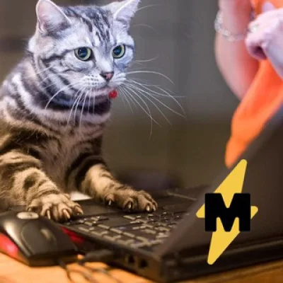 Medialeaks — чат с читателями