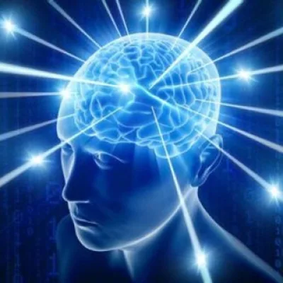 HEAVY BRAIN FUNCTION