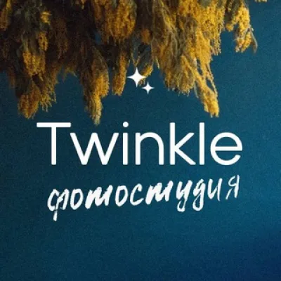 Администратор Twinkle Studio
