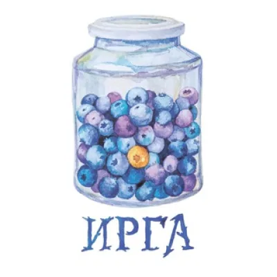 Издательство «ИРГА» | Ягодные книги 🫐