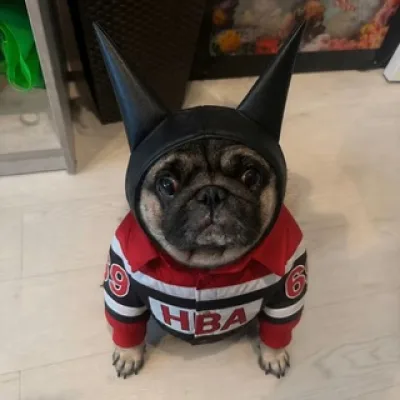 playboi киря