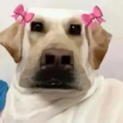 点点