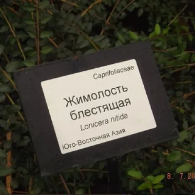 выход здесь❗️